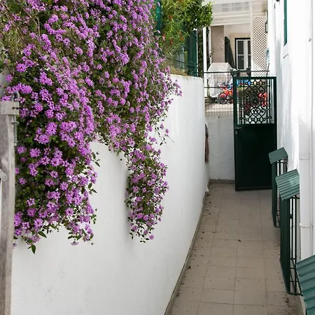 Dalma Flats - Garden *